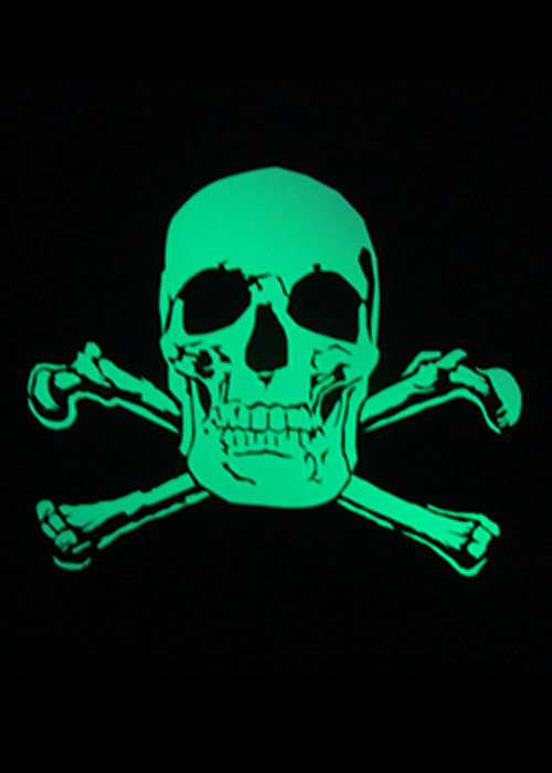 glow_skull_tee_shirt